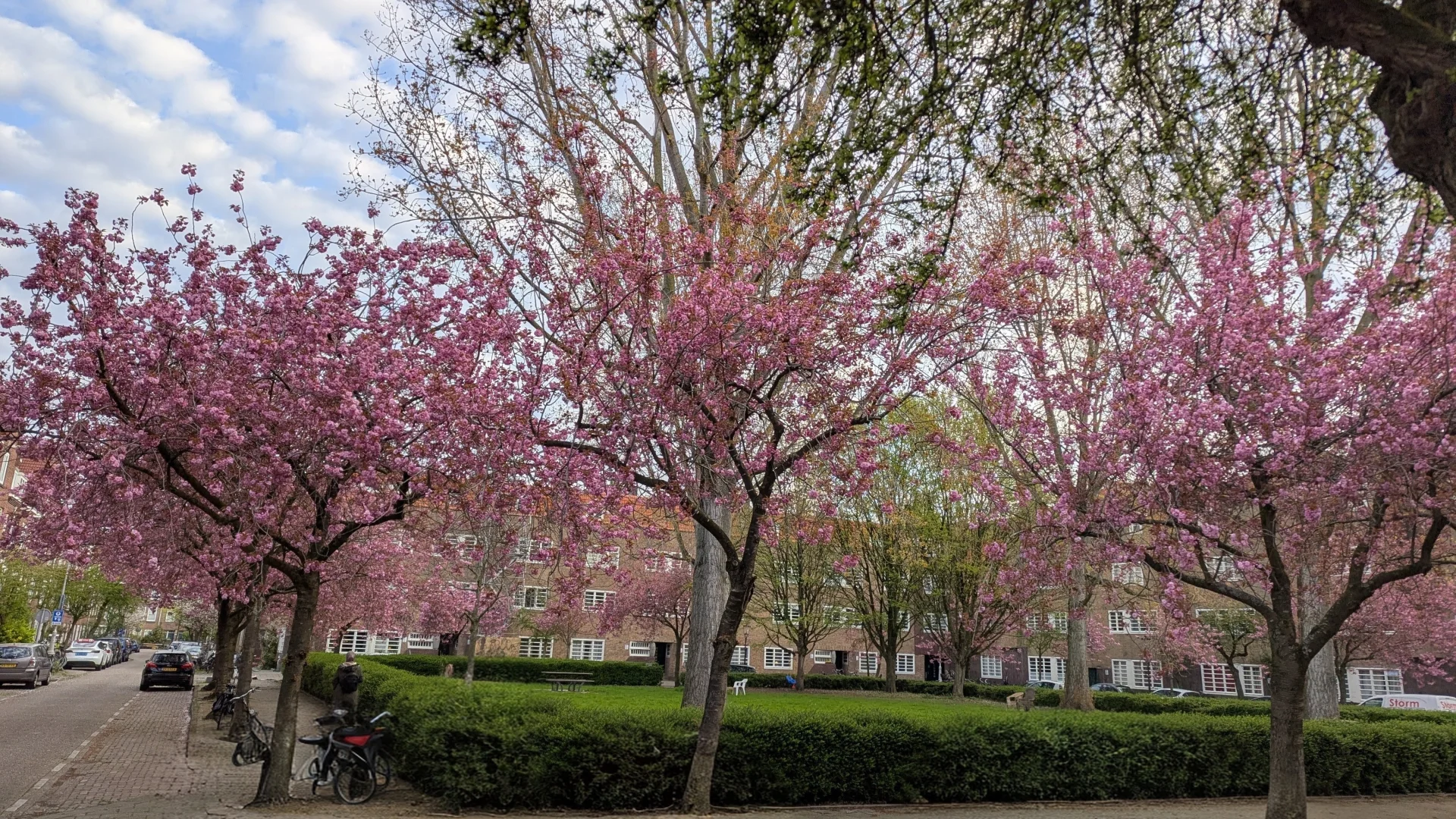 Het mooie Thérèse Schwartzeplein met bloeiende bomen, in de Pijp Amsterdam.